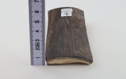 Brown mammoth bark