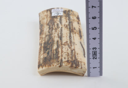 Brown-white mammoth bark