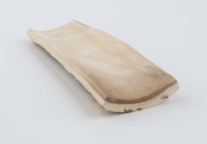 Brown-white mammoth bark