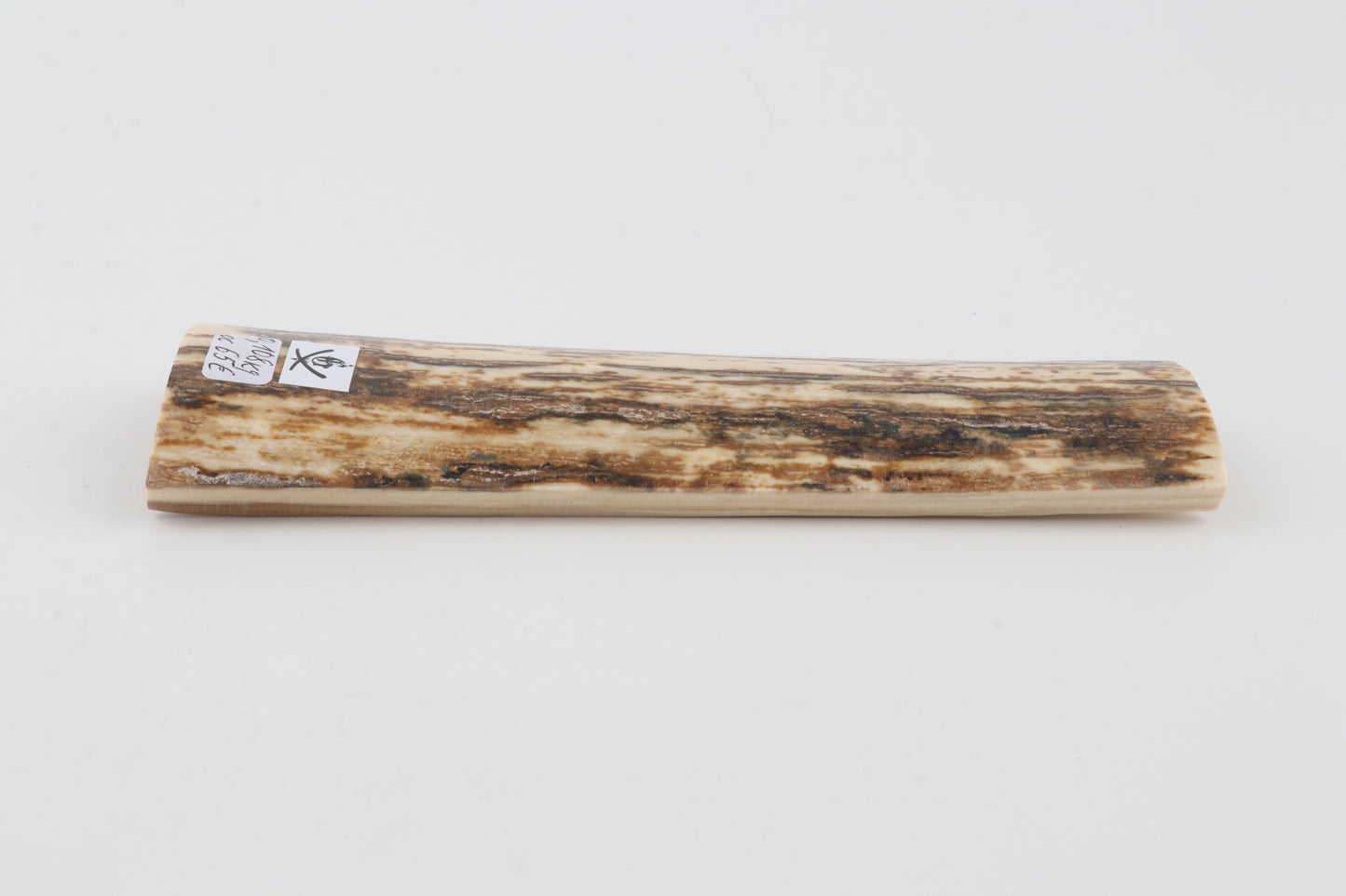 Brown-white mammoth bark