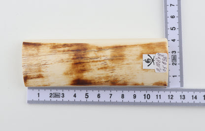 White-orange mammoth bark