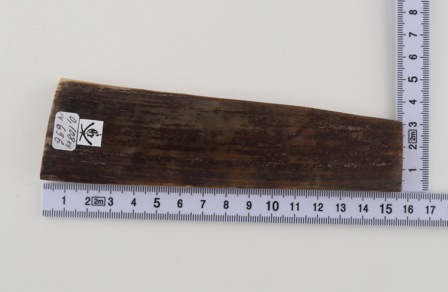 Brown mammoth bark