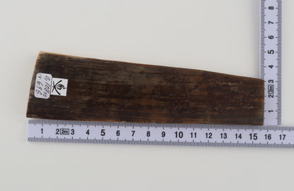Brown mammoth bark