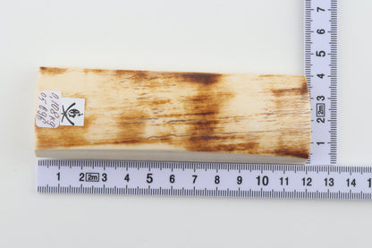 White-orange mammoth bark