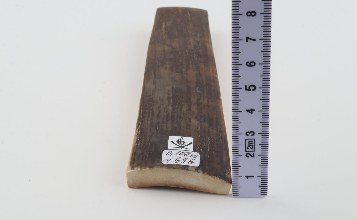 Brown mammoth bark