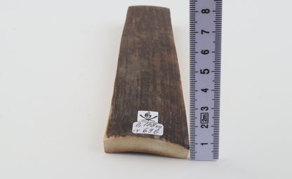 Brown mammoth bark