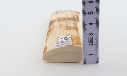 White-orange mammoth bark
