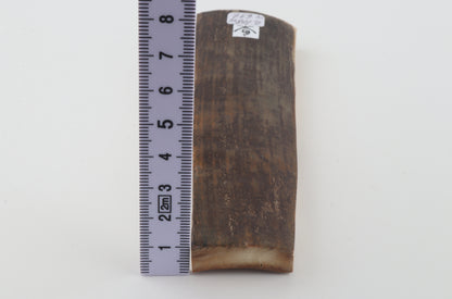 Brown mammoth bark