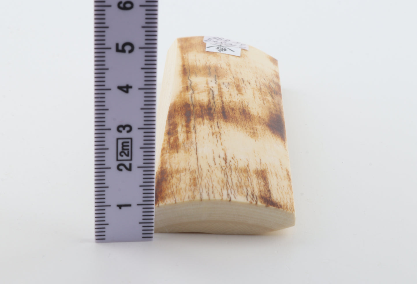 White-orange mammoth bark