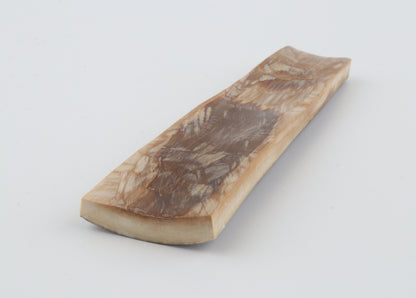 Brown mammoth bark