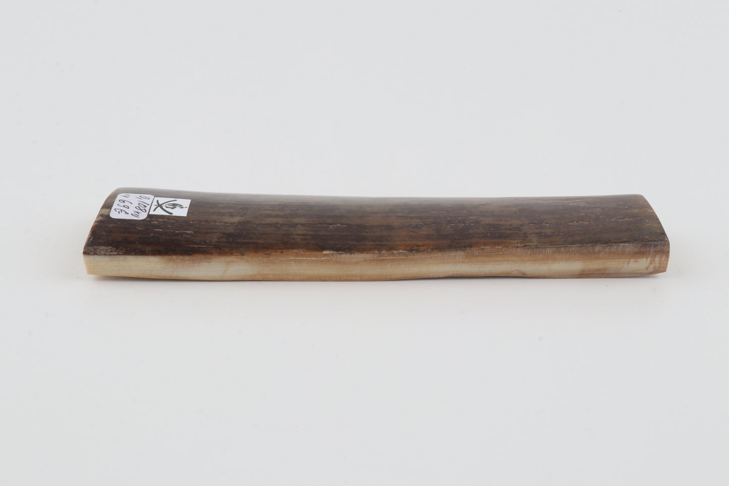 Brown mammoth bark