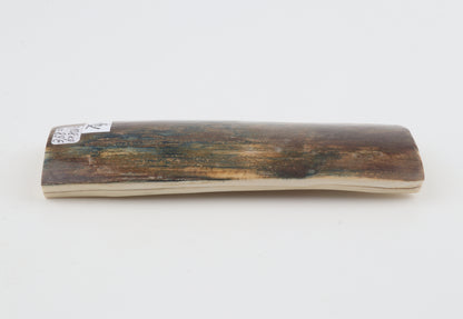 Brown-blue mammoth bark