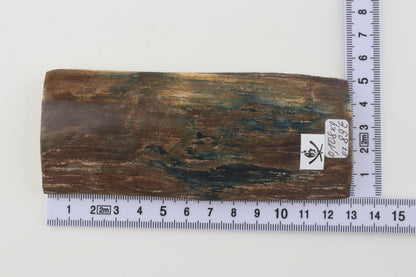 Brown-blue mammoth bark