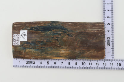 Brown-blue mammoth bark