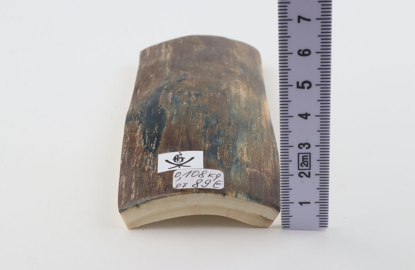 Brown-blue mammoth bark