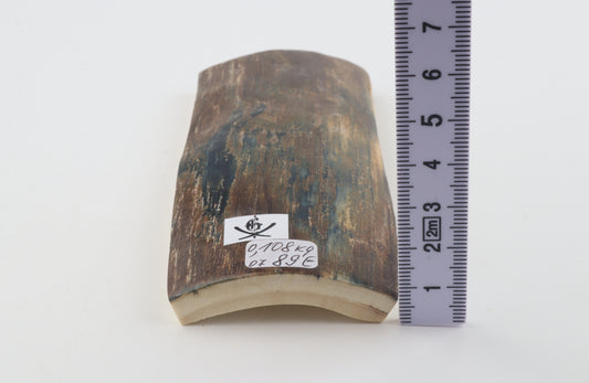 Brown-blue mammoth bark