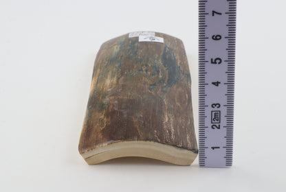 Brown-blue mammoth bark