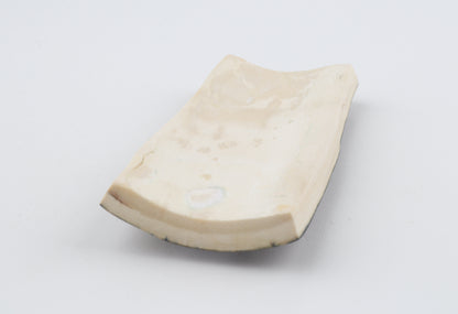 Brown-blue mammoth bark