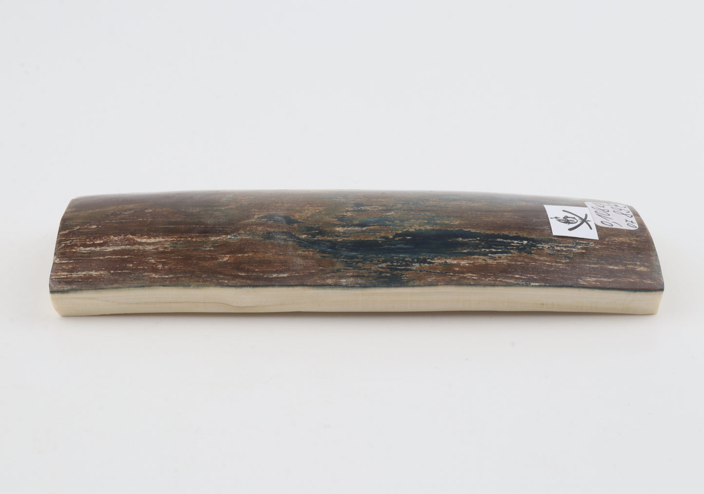 Brown-blue mammoth bark