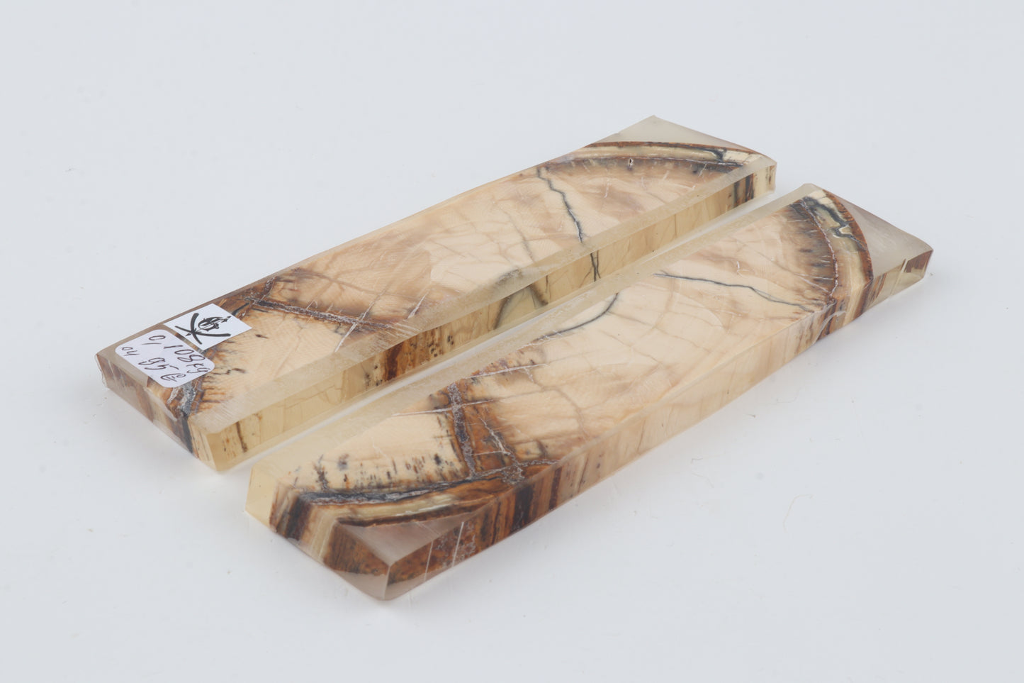Stabilised mammoth ivory scales