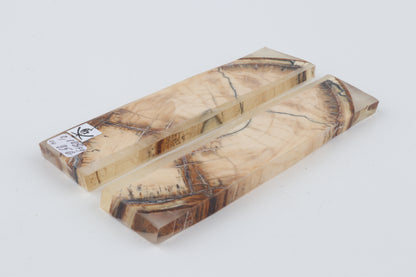 Stabilised mammoth ivory scales