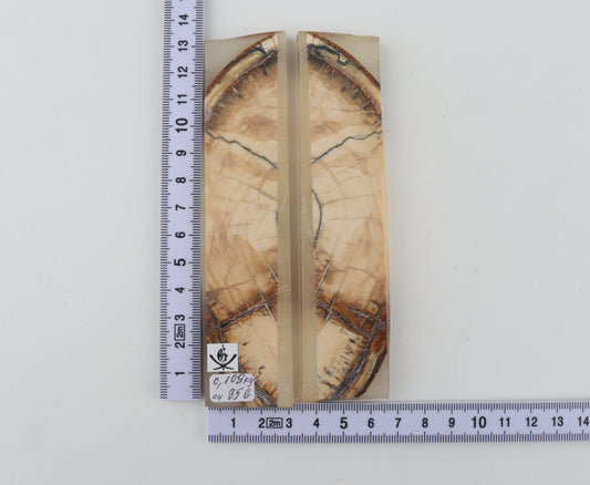 Stabilised mammoth ivory scales