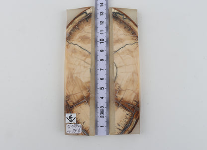 Stabilised mammoth ivory scales