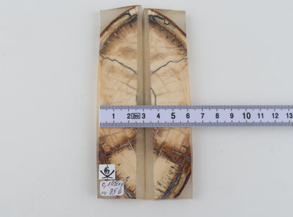 Stabilised mammoth ivory scales