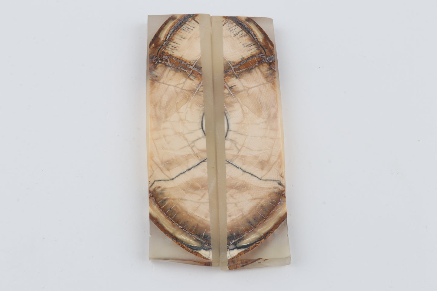 Stabilised mammoth ivory scales