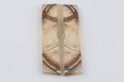 Stabilised mammoth ivory scales