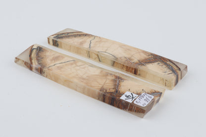 Stabilised mammoth ivory scales