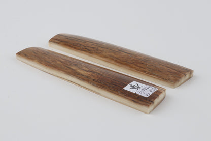 Natural mammoth bark scales