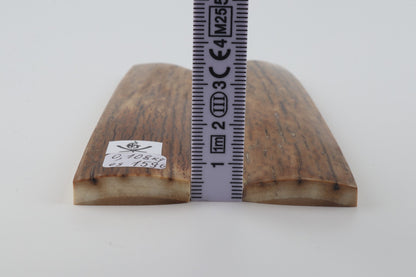 Natural mammoth bark scales