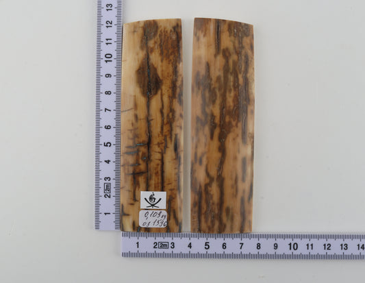 Natural mammoth bark scales