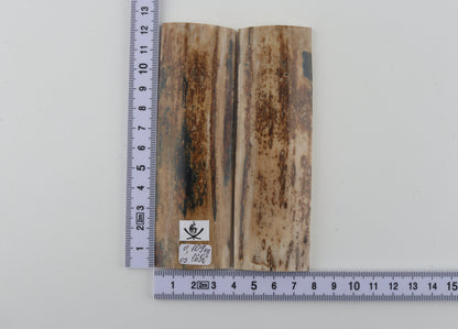 Natural mammoth bark scales