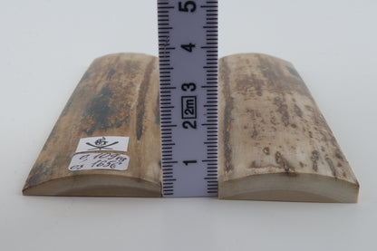 Natural mammoth bark scales