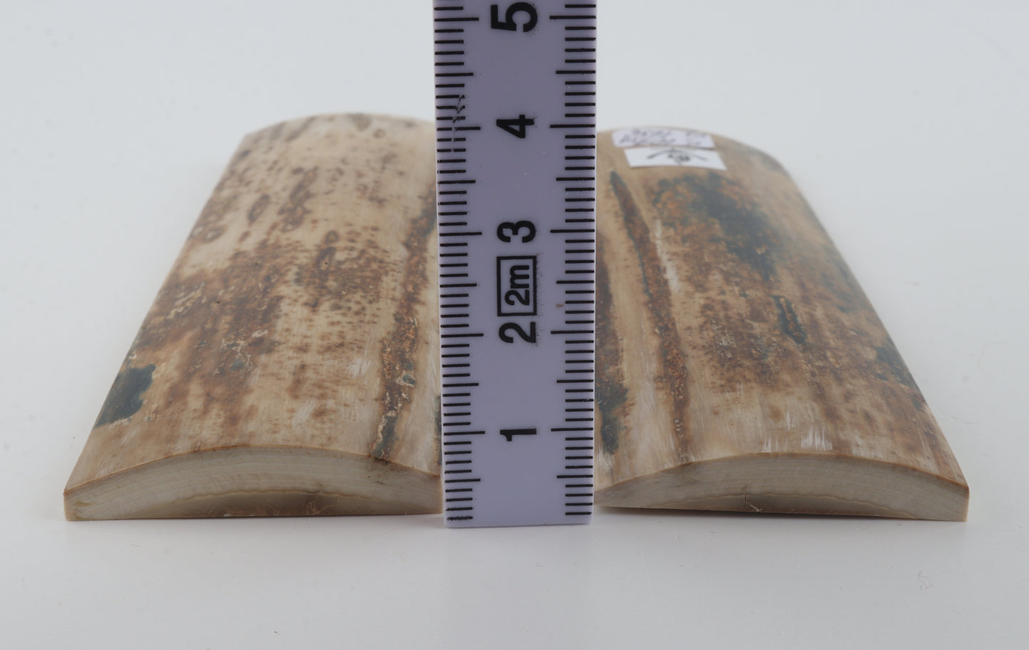 Natural mammoth bark scales