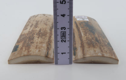 Natural mammoth bark scales