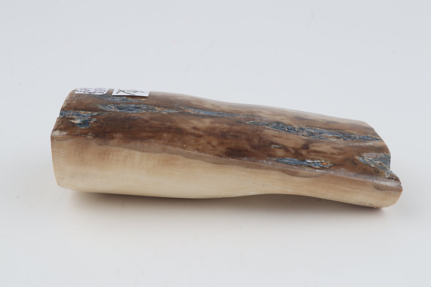 Brown mammoth ivory piece