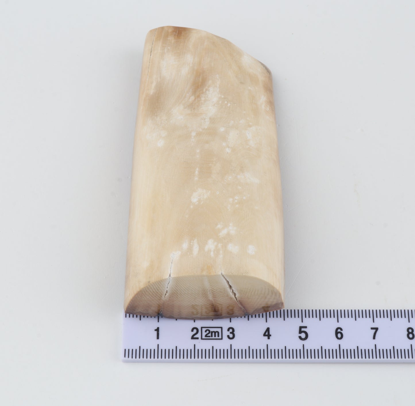 Brown mammoth ivory piece