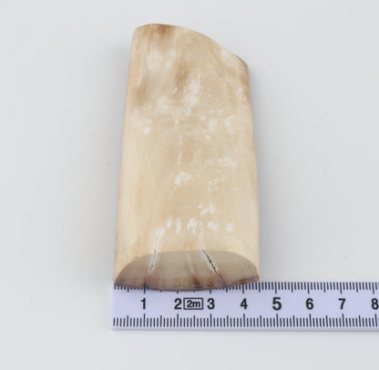 Brown mammoth ivory piece