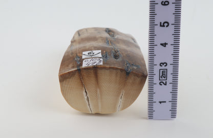 Brown mammoth ivory piece