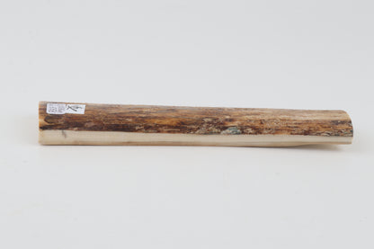 Beige mammoth bark