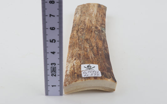 Beige mammoth bark