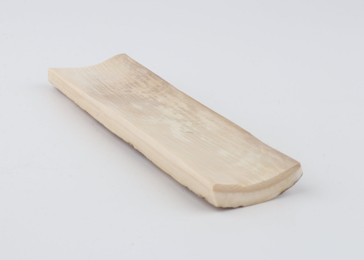 Beige mammoth bark