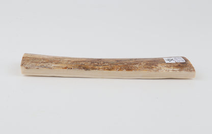 Beige mammoth bark