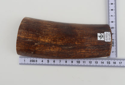 Brown-caramel mammoth bark