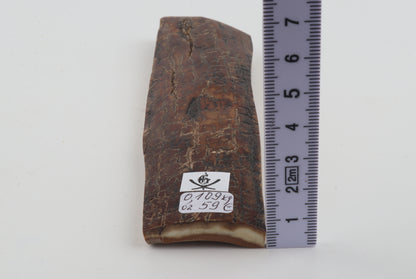 Brown mammoth bark