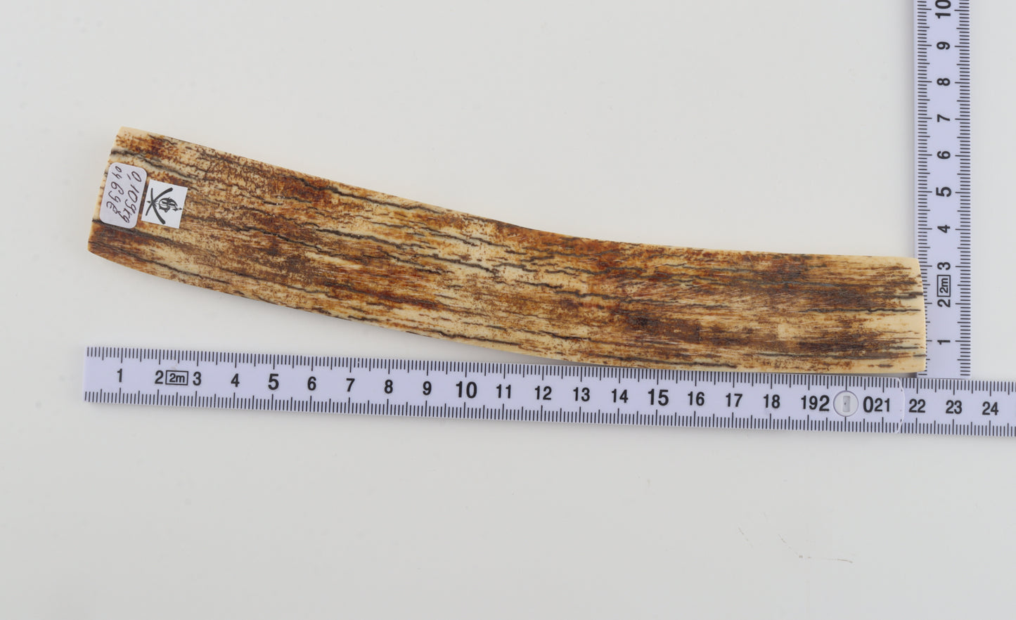 White-orange mammoth bark