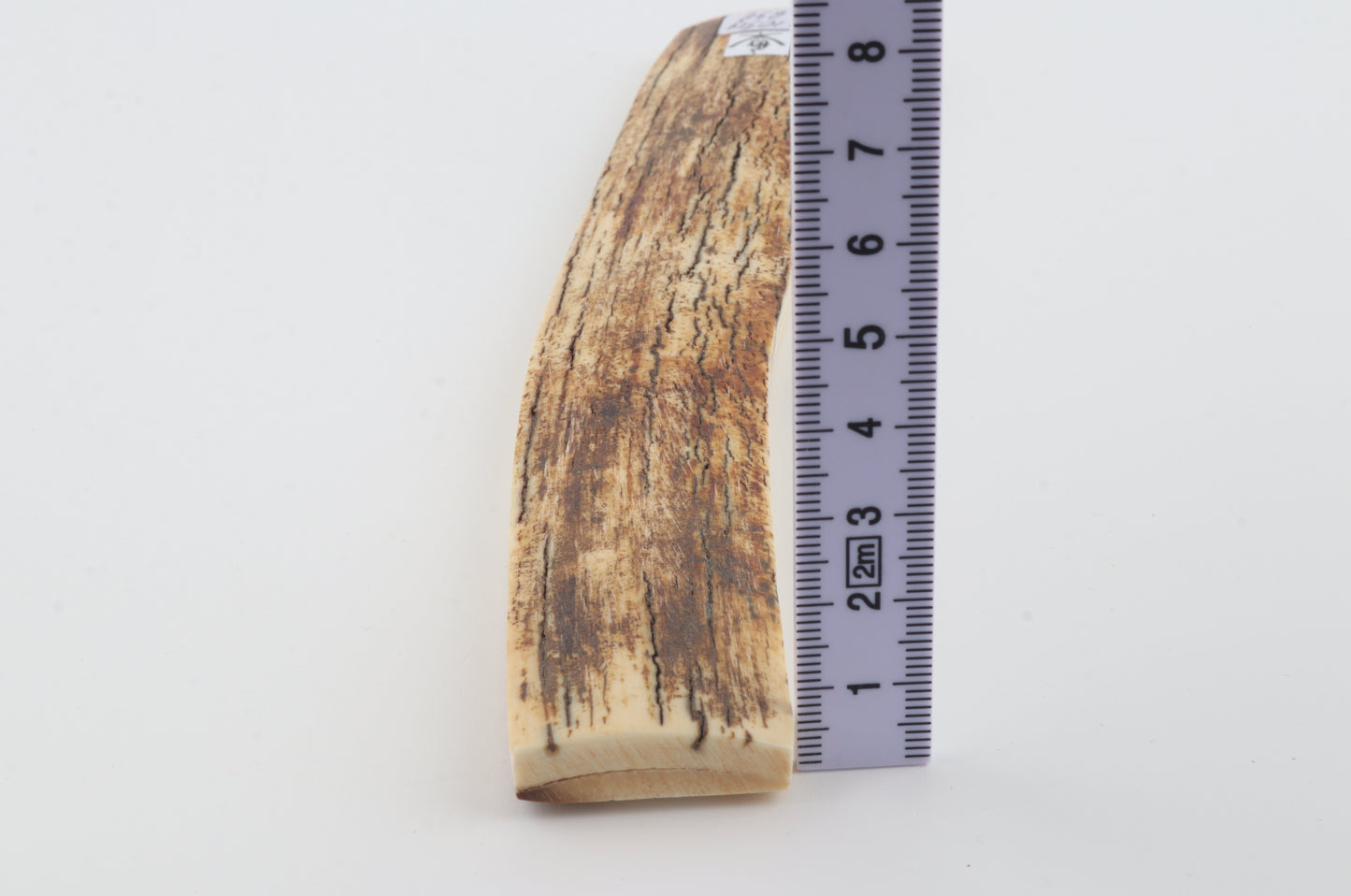White-orange mammoth bark